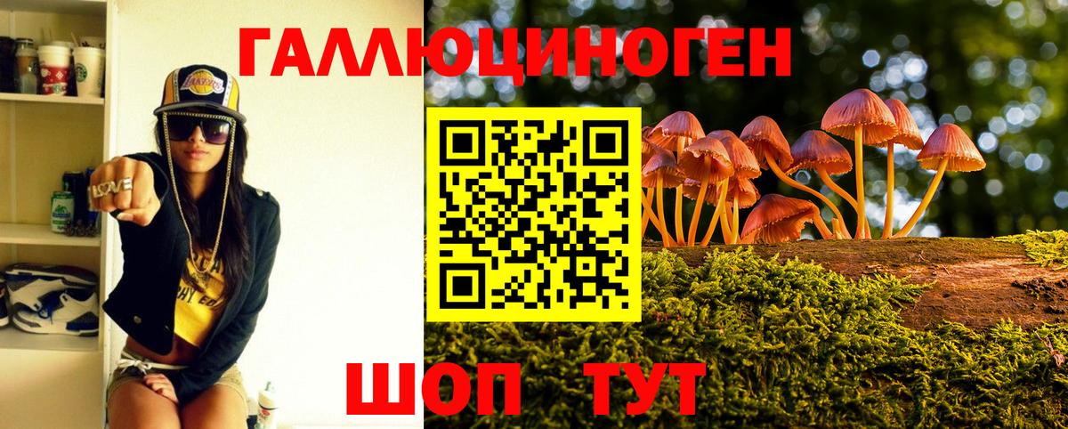 Галлюциногенные грибы GOLDEN TEACHER Кулебаки